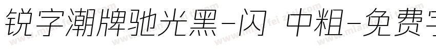 锐字潮牌驰光黑-闪 中粗字体转换
